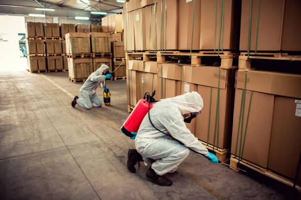 Best Emergency Pest Control  in Seminole, TX