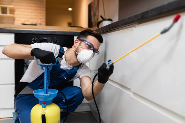 Best Affordable Pest Control Services  in Seminole, TX