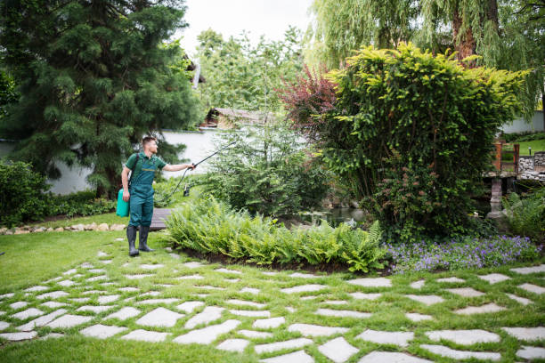 Best Best Pest Control Companies  in Seminole, TX