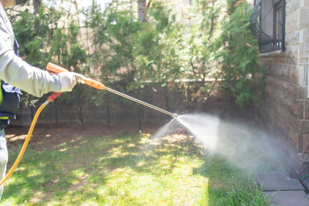 Best Exterminator Services  in Seminole, TX