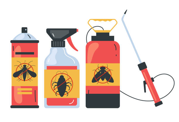Best Pest Prevention Services  in Seminole, TX
